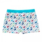 boys UPF50 boxer swimsuit